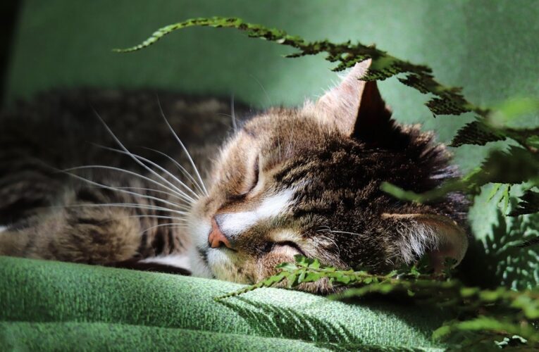 Гороскоп для всіх знаків зодіаку на 28 травня 2025 року