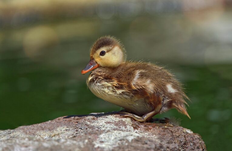 Гороскоп для всіх знаків зодіаку на 30 травня 2025 року