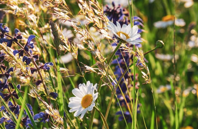 Гороскоп для знаків зодіаку на 15 травня 2025 року