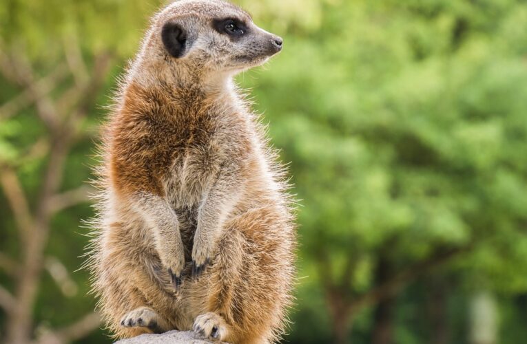 Гороскоп для знаків зодіаку на 2 травня 2025 року