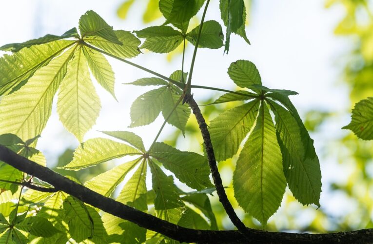 Гороскоп для знаків зодіаку на перші вихідні травня 2025 року