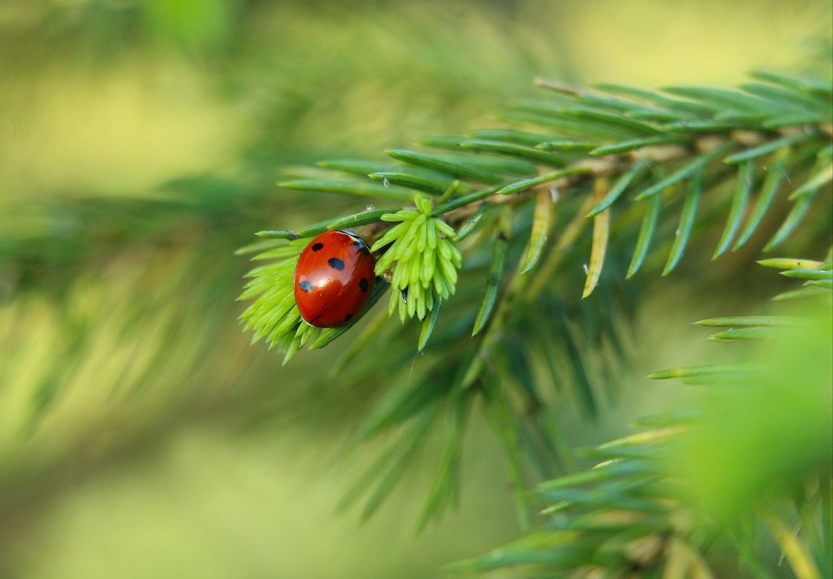 Новини культури - Гороскоп для знаків зодіаку на вихідні 17-18 травня 2025 року