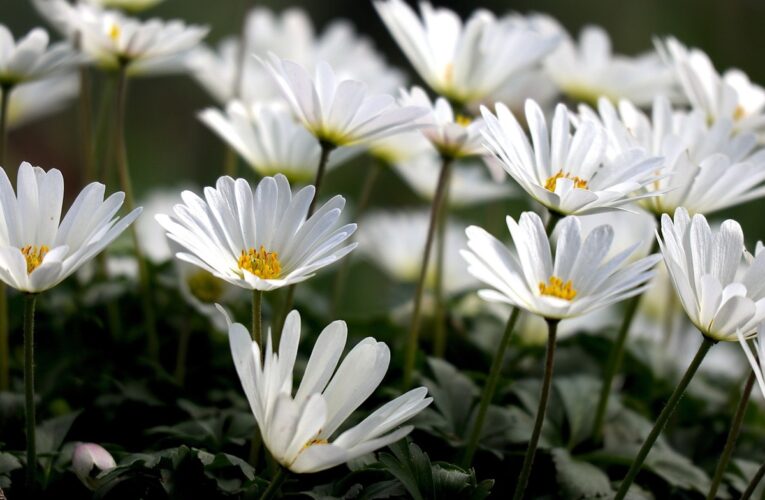 Гороскоп для знаків зодіаку на вихідні 24-25 травня 2025 року