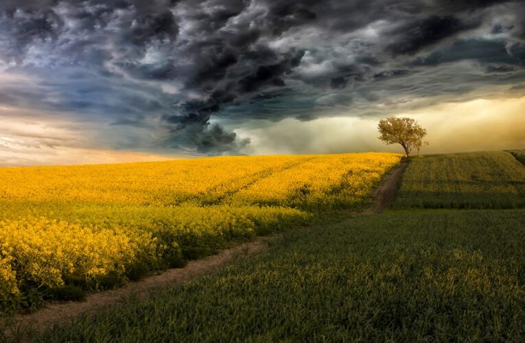 Китай створює “штучні дощі” над посушливими регіонами