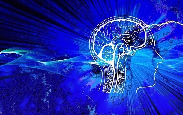 Технології - Малорухливий спосіб життя може зменшувати мозок - дослідження