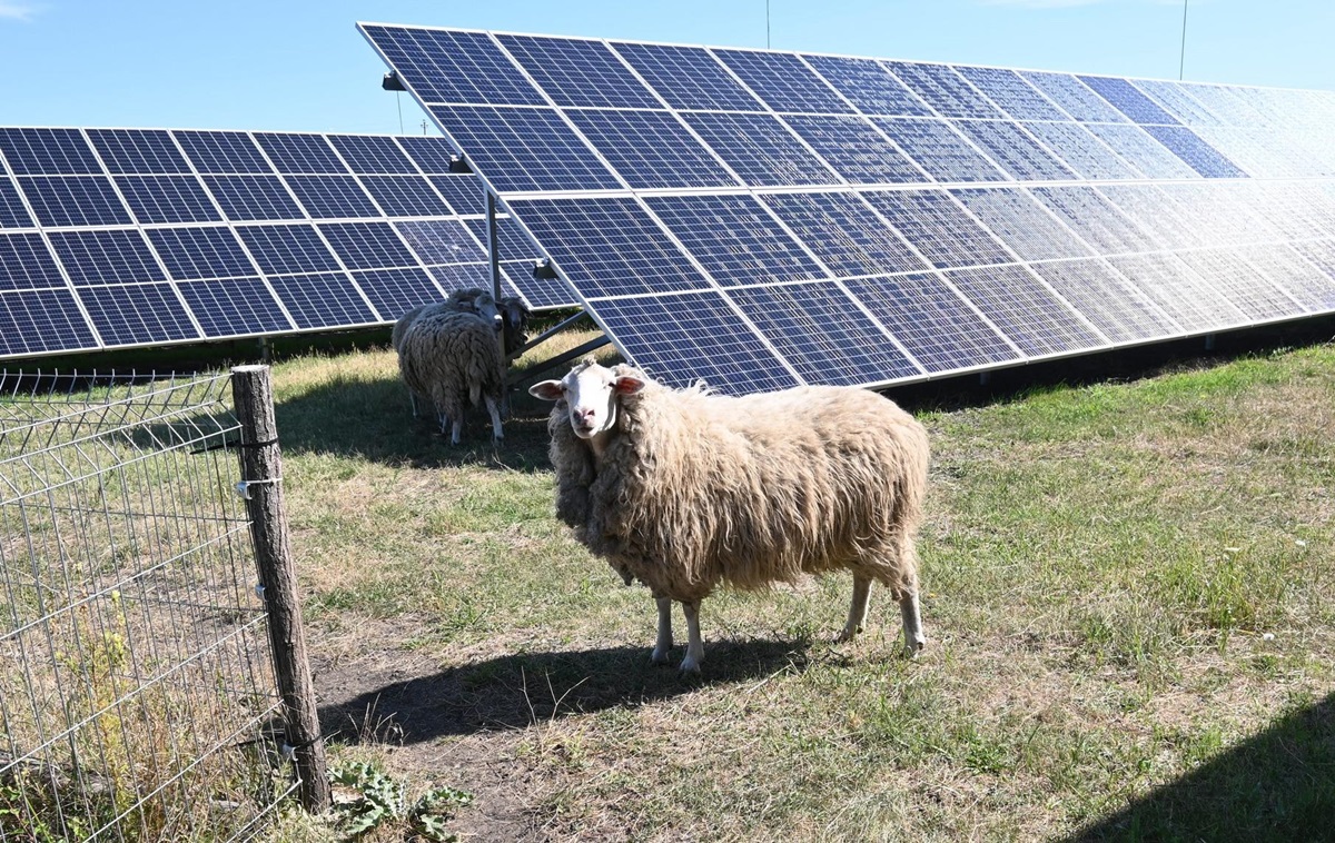 Новини бізнесу - Молдова добула з відновлюваних джерел рекордну кількість електроенергії