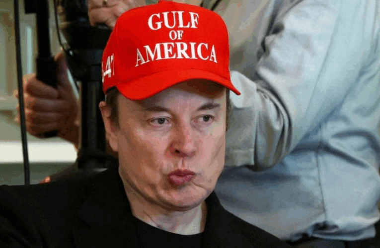 На Ілона Маска розізлилися його сусіди