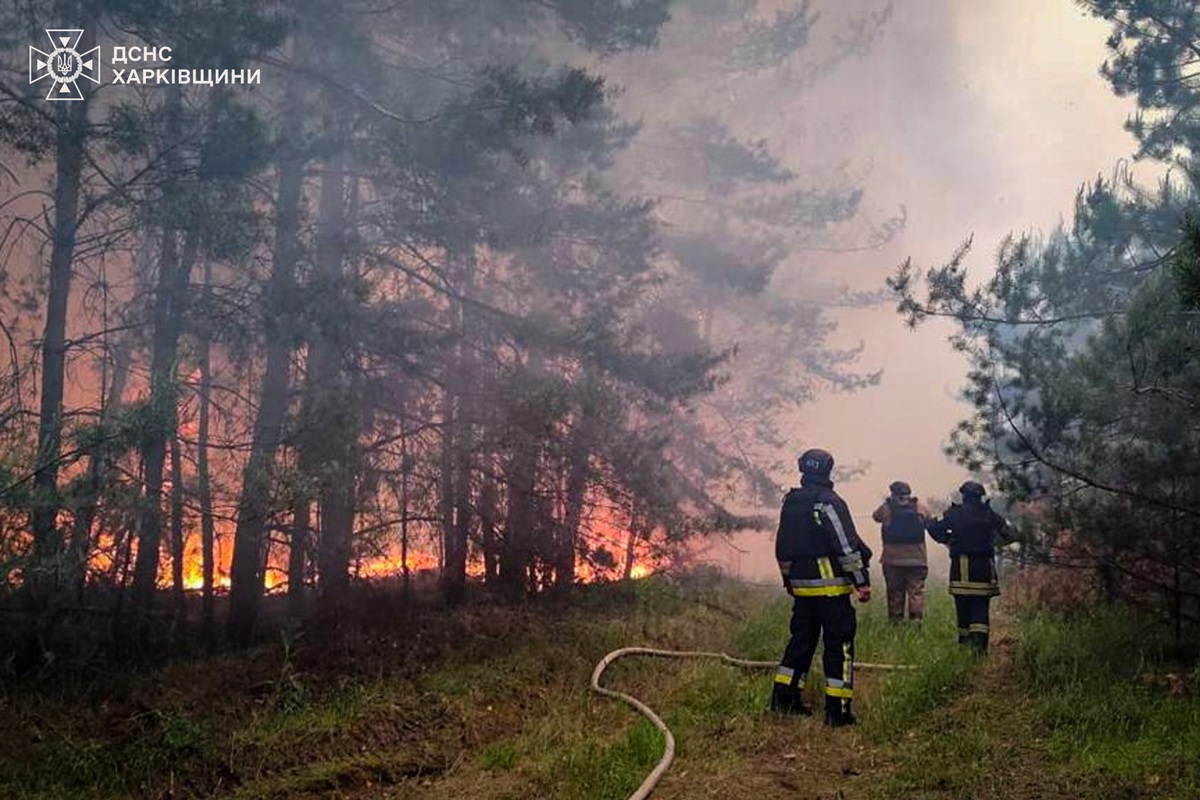 Новини України - На Харківщині локалізували масштабну лісову пожежу