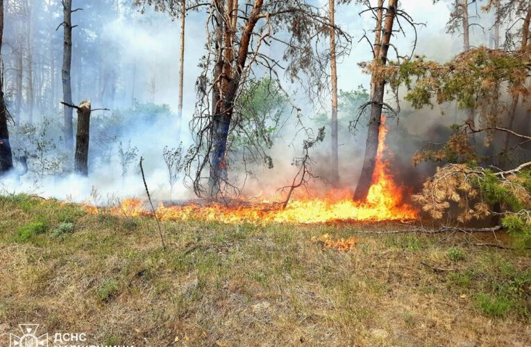 На Харківщині триває ліквідація 11 лісових пожеж