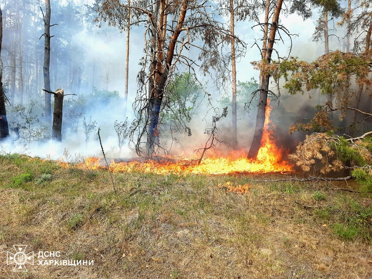 Новини України - На Харківщині триває ліквідація 11 лісових пожеж