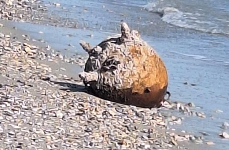 На Одещині знищили російську морську міну