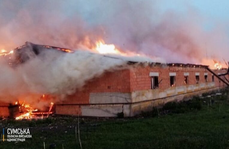 На Сумщині загинули сотні свійських тварин через російську атаку