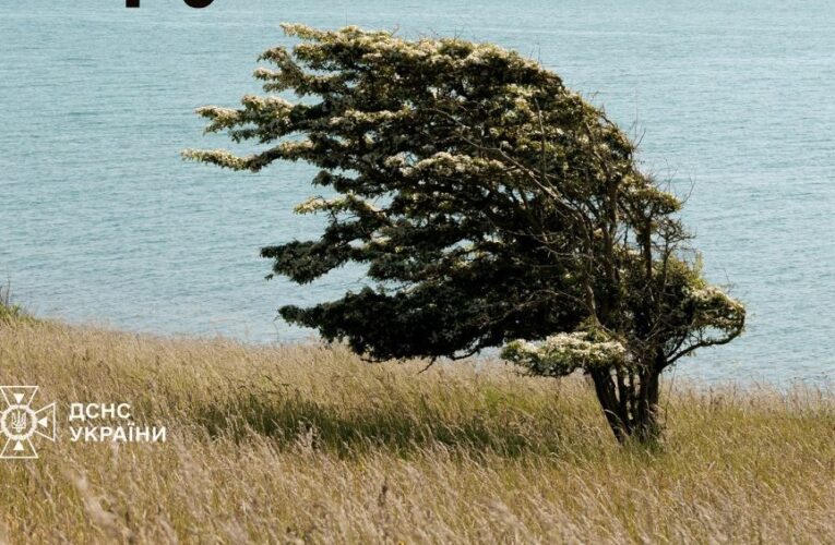 На Україну суне негода, рятувальники попереджають про небезпеку