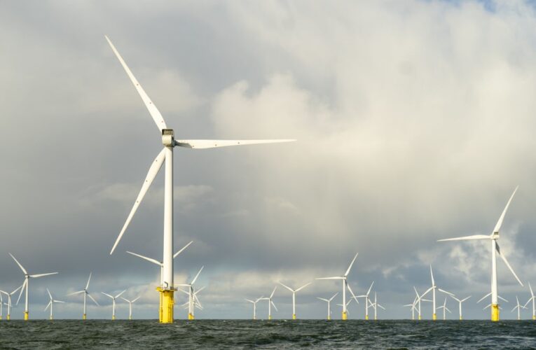 Нідерланди звинуватили Бельгію у “крадіжці вітру”