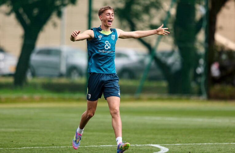 Одноклубник Забарного відхилятиме всі пропозиції АПЛ заради одного клубу