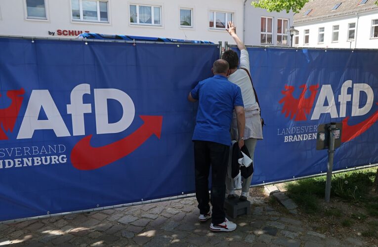 Партію Альтернатива для Німеччини оголошено екстремістською