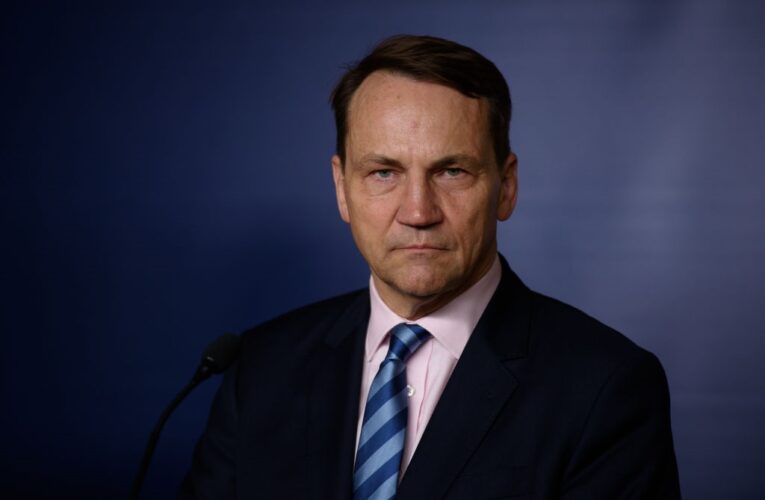 Польща не відправлятиме війська в Україну – МЗС