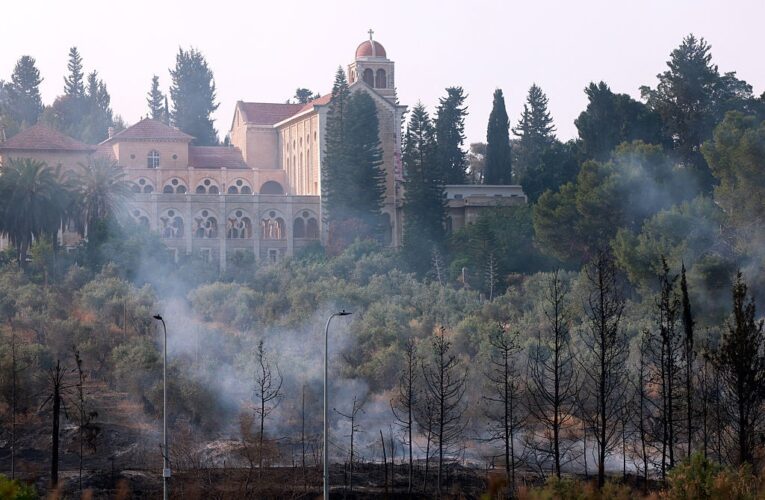 Пожежі в Ізраїлі: затримано майже 20 людей за підозрою в підпалах
