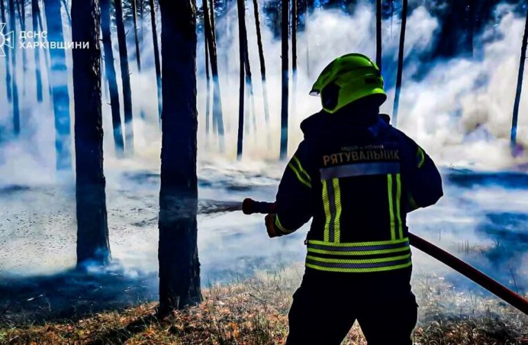 Рятувальники ліквідували п’ять лісових пожеж на Харківщині