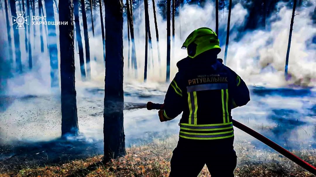 Новини України - Рятувальники ліквідували п’ять лісових пожеж на Харківщині