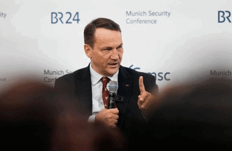 Сікорський заявив, що ЄС може стримувати Росію і без участі США