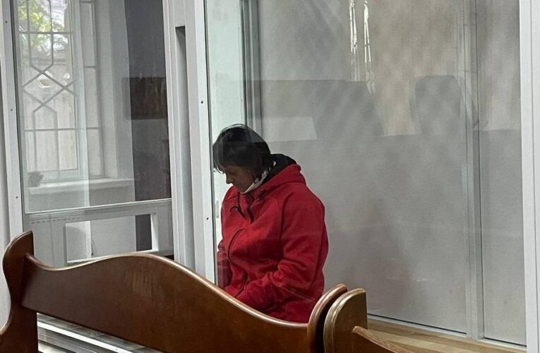 Суд арештував підозрювану в нападі на Стерненка