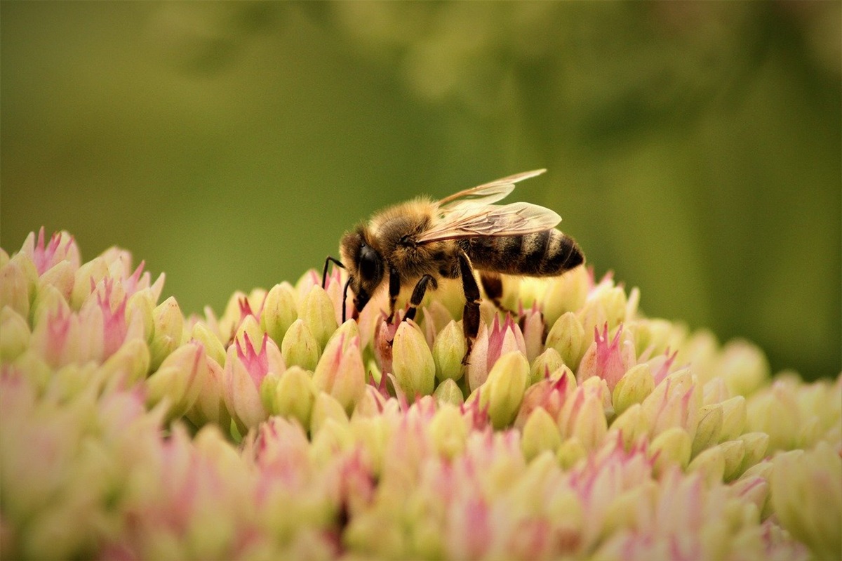 Новини культури - Свята 12 травня 2025 року: що не можна робити в цей день