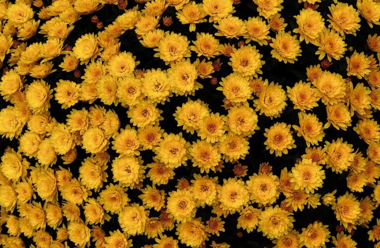 Свята 13 травня 2025 року: що не можна робити в цей день