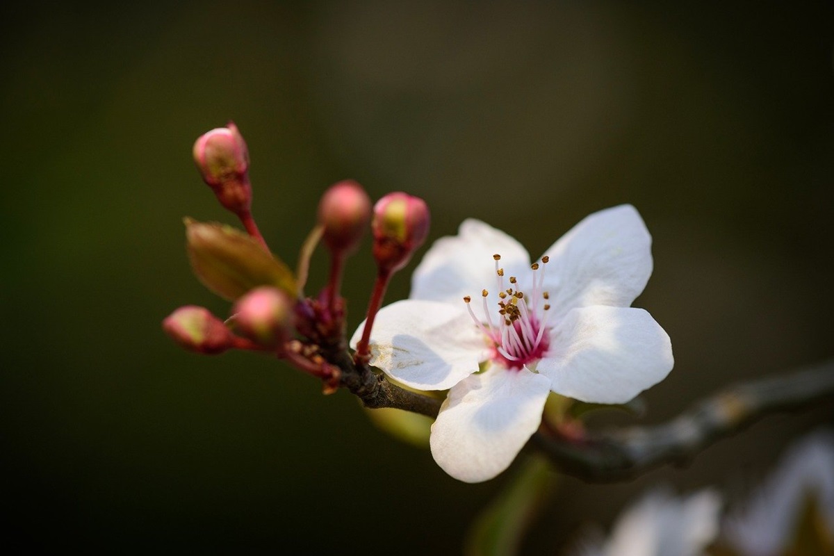 Новини культури - Свята 2 травня 2025 року: іменини, прикмети