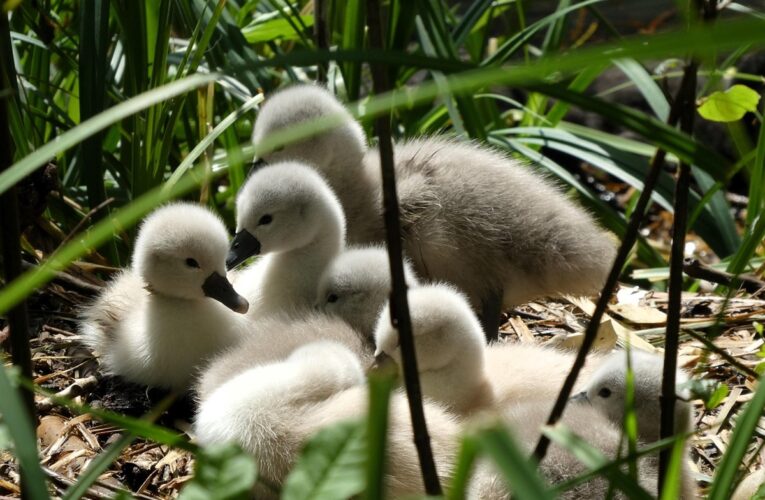 Свята 21 травня 2025 року: іменини, прикмети