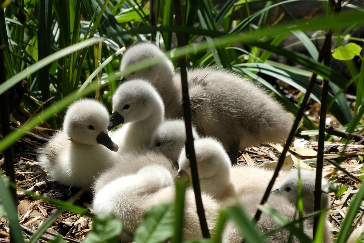 Новини культури - Свята 21 травня 2025 року: іменини, прикмети