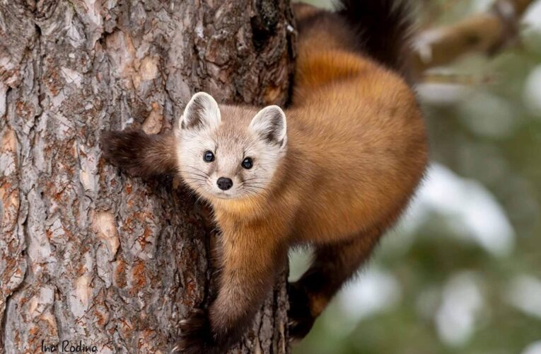 Свята 23 травня 2025 року: що не можна робити в цей день