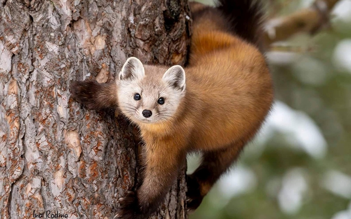 Новини культури - Свята 23 травня 2025 року: що не можна робити в цей день