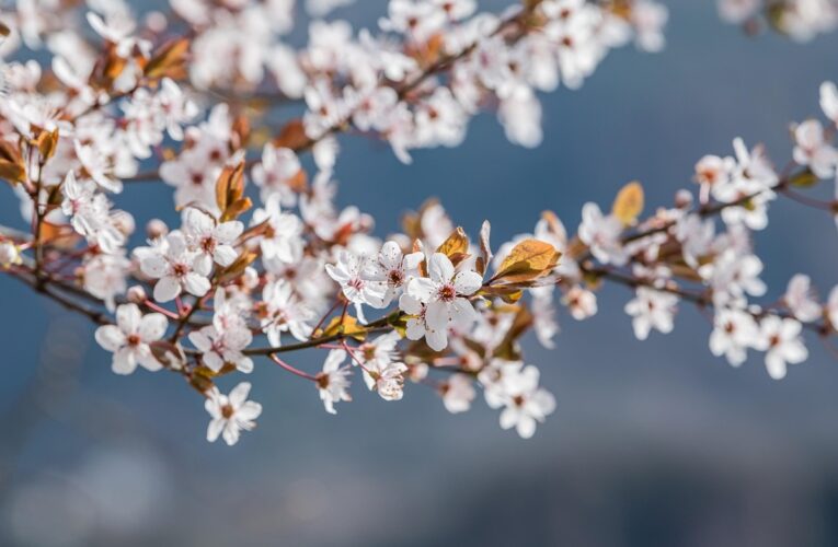 Свята 6 травня 2025 року: іменини, прикмети