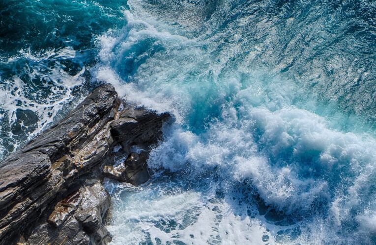 Темніючий океан: за 20 років зменшилася зона життя для морських організмів