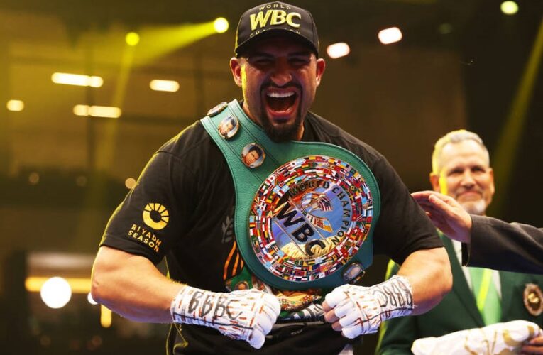 Тимчасовий чемпіон пояснив, чому відмовився від бою з Володимиром Кличком