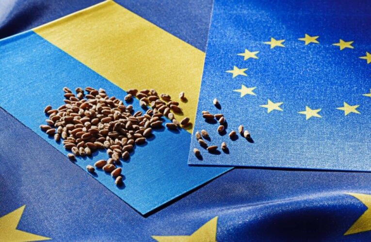 “Торгівельний безвіз” з ЄС завершується, і ось головні небезпеки