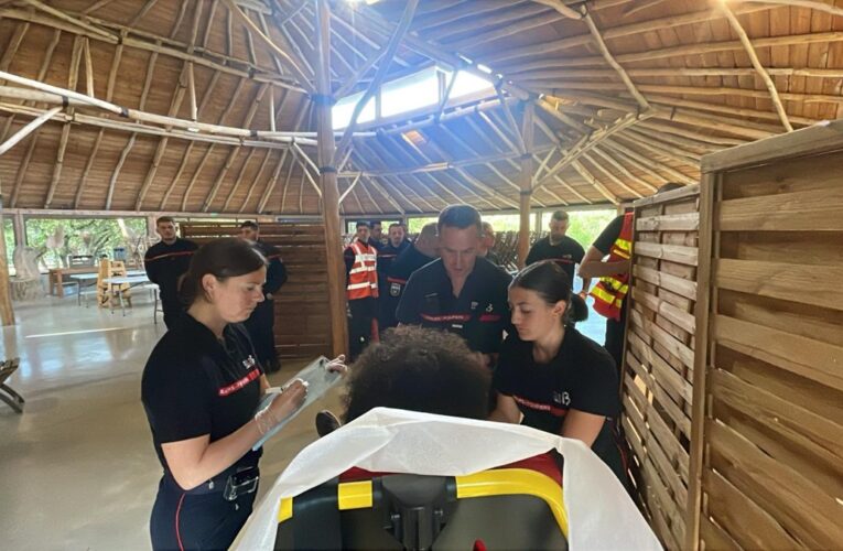 У Франції блискавка влучила у зоопарк: постраждали 13 людей