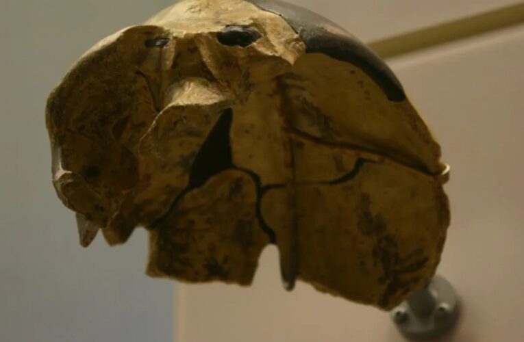 У Китаї знайшли череп, який не належить жодному з відомих видів людини