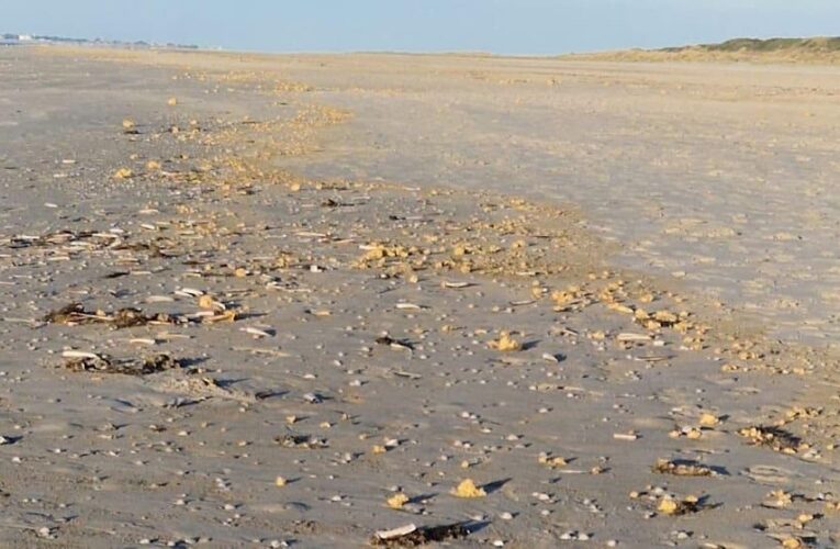 У Німеччині узбережжя засипало шматками парафіну