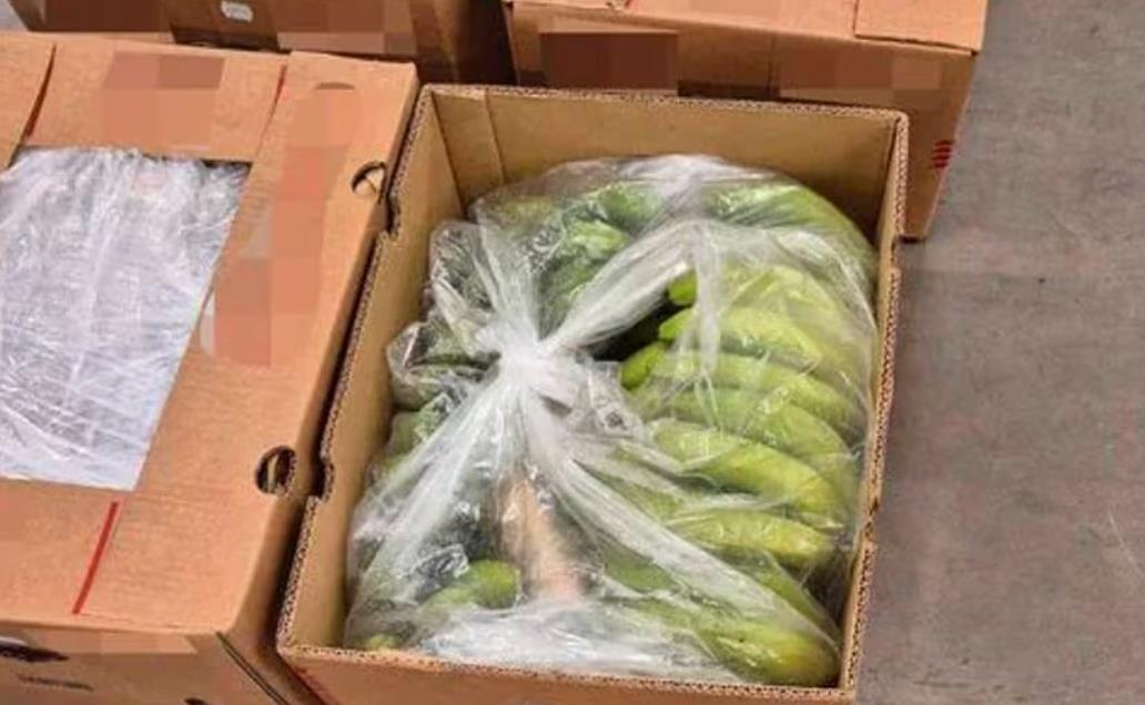 Новини світу - У Норвегії вилучили найбільший за два роки вантаж кокаїну у бананах