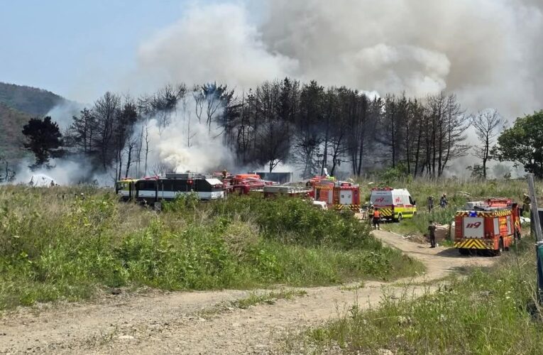 У Південній Кореї розбився військовий літак