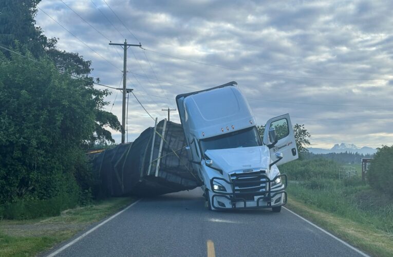 У США з фури, що перекинулася, вилетіли 250 млн бджіл