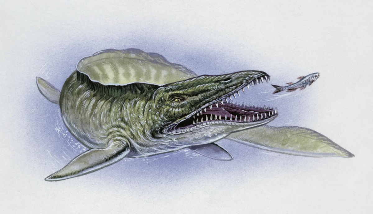 Технології - У США знайшли скам'янілість мозазавра часів динозаврів