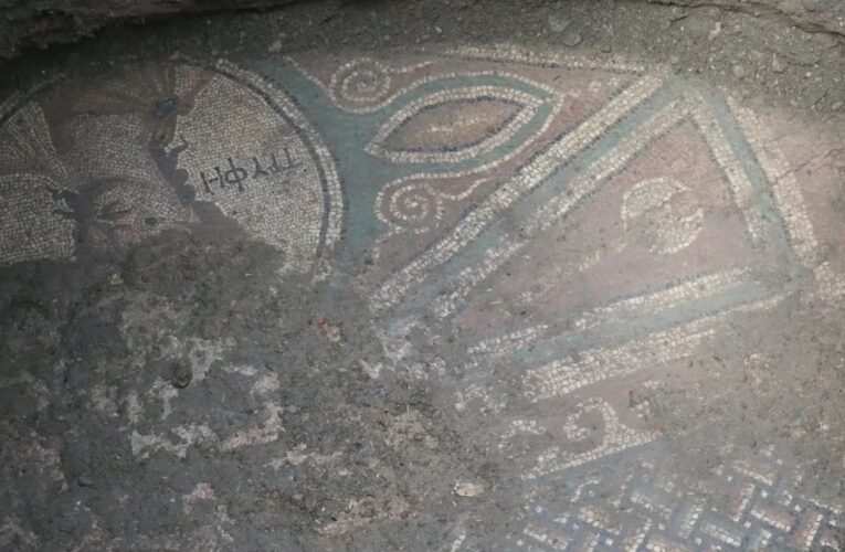 У Туреччині під час незаконних розкопок виявили давньоримську мозаїку