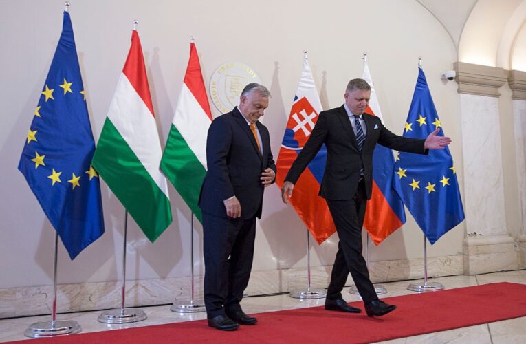 Угорщина та Словаччина відмовилися підтримати документ про стійкість ЄС