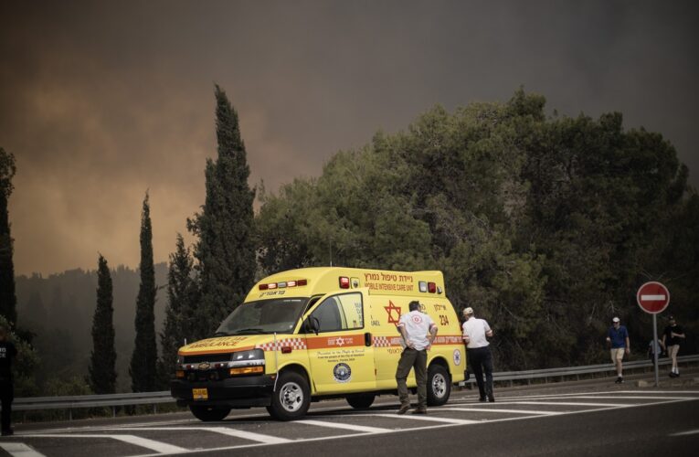 Україна запропонувала Ізраїлю допомогу у боротьбі з лісовими пожежами