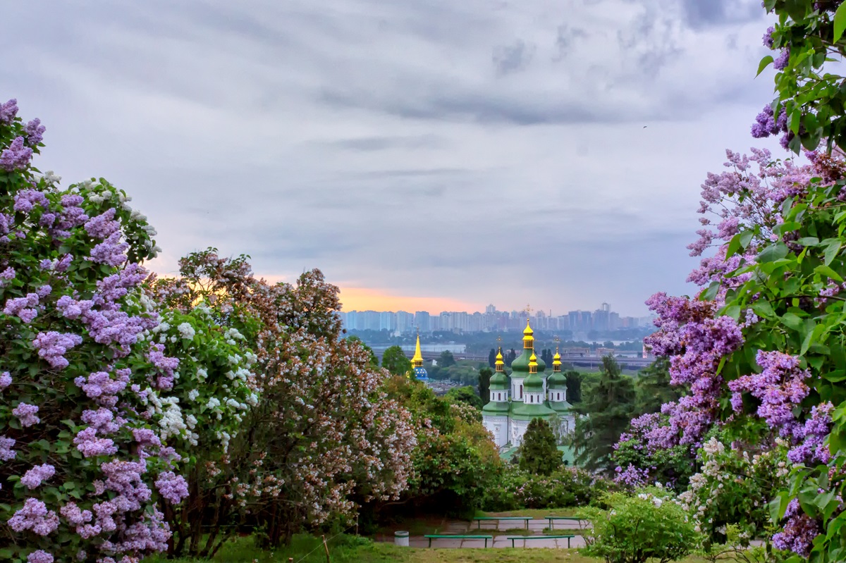 Новини України - Україну охоплять дощі й заморозки