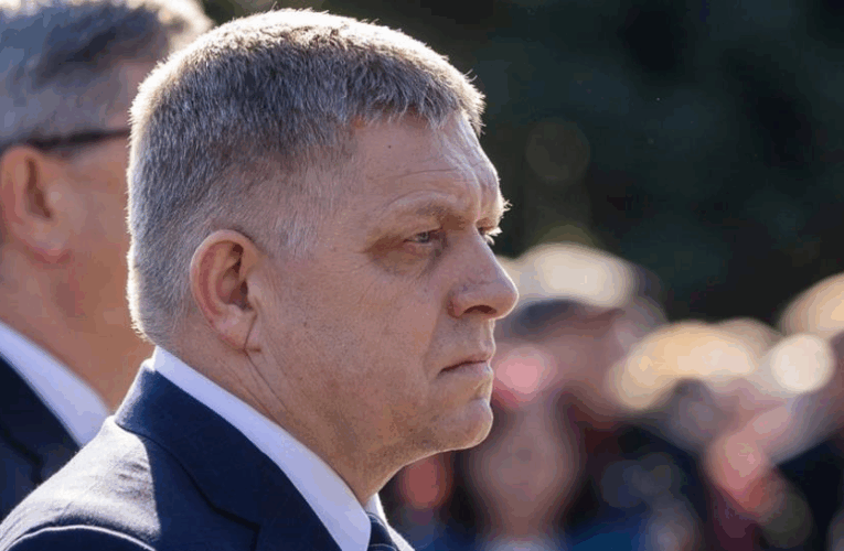 Уряд Фіцо дозволив продавати м’ясо бурого ведмедя