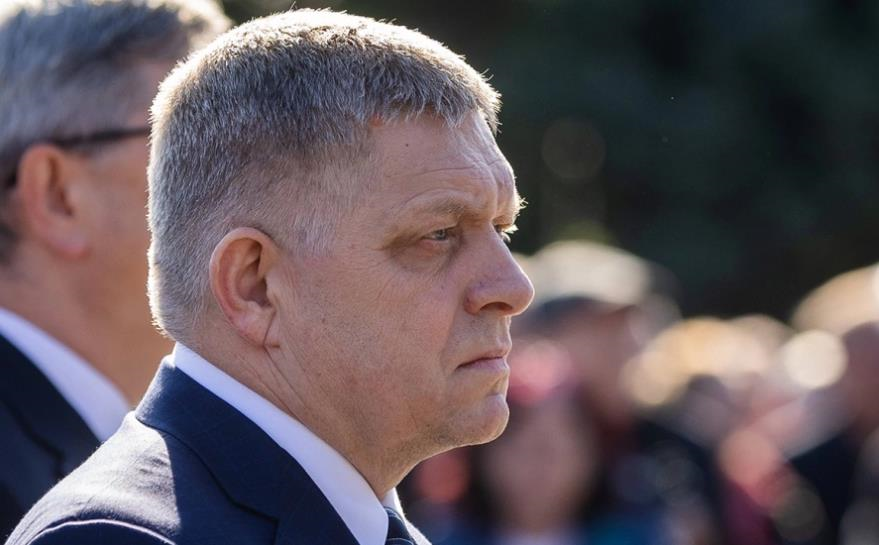 Новини світу - Уряд Фіцо дозволив продавати м’ясо бурого ведмедя